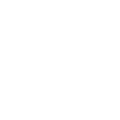 Marmoset Toolbag 4 Logo