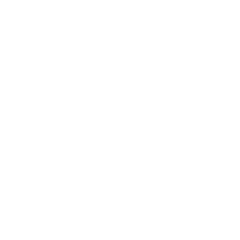 Def Jam Recordings Logo